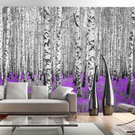 Papier peint  Purple asylum