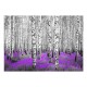 Papier peint  Purple asylum