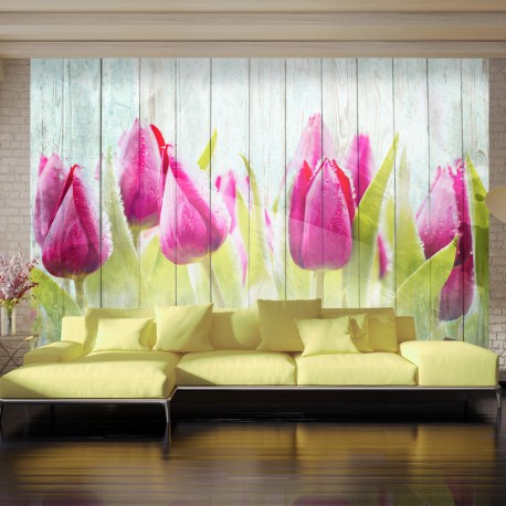 Papier peint  Tulips on white wood