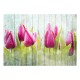 Papier peint  Tulips on white wood