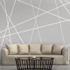 Papier peint  Modern Cobweb