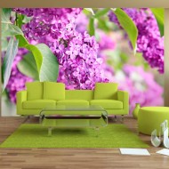 Papier peint  Lilac flowers