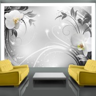 Papier peint  Orchids on silver