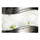 Papier peint  Fleurs de jasmin