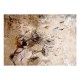 Papier peint  Breath of wind