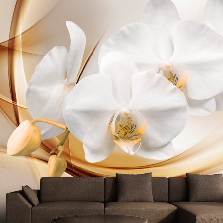 Papier peint  Orchid blossom