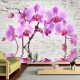 Papier peint  Purple Delight