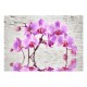 Papier peint  Purple Delight