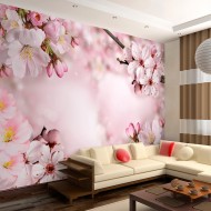 Papier peint  Spring Cherry Blossom