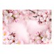 Papier peint  Spring Cherry Blossom