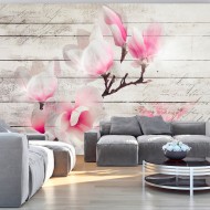 Papier peint  Gentleness of the Magnolia
