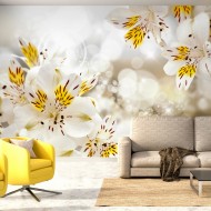 Papier peint  Sunny Alstroemeria