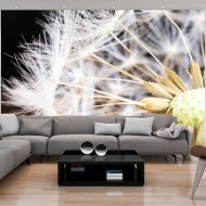 Papier peint  Fluffy dandelion