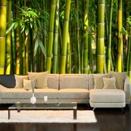 Papier peint  Oriental Garden