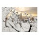 Papier peint  NY  City behind the Wall