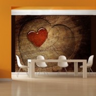 Amour