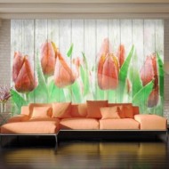 Tulipes