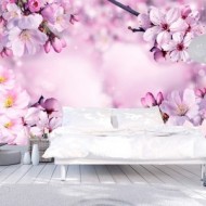 Fleurs cerisiers