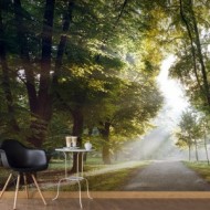 Paysages