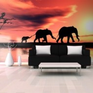 Animaux