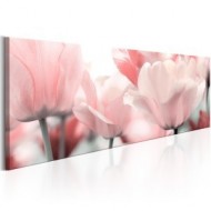 Tulipes