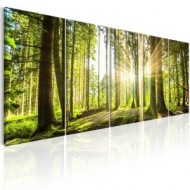 Forêt