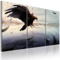 Oiseaux