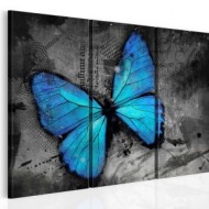 Insectes
