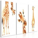 Girafes