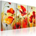 Coquelicots